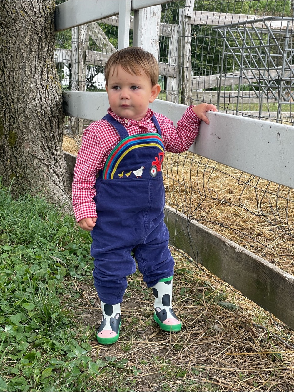 Baby Boden Navy Corduroy Farm Overalls with Rainbow Trim, Red Tractor & Ducks